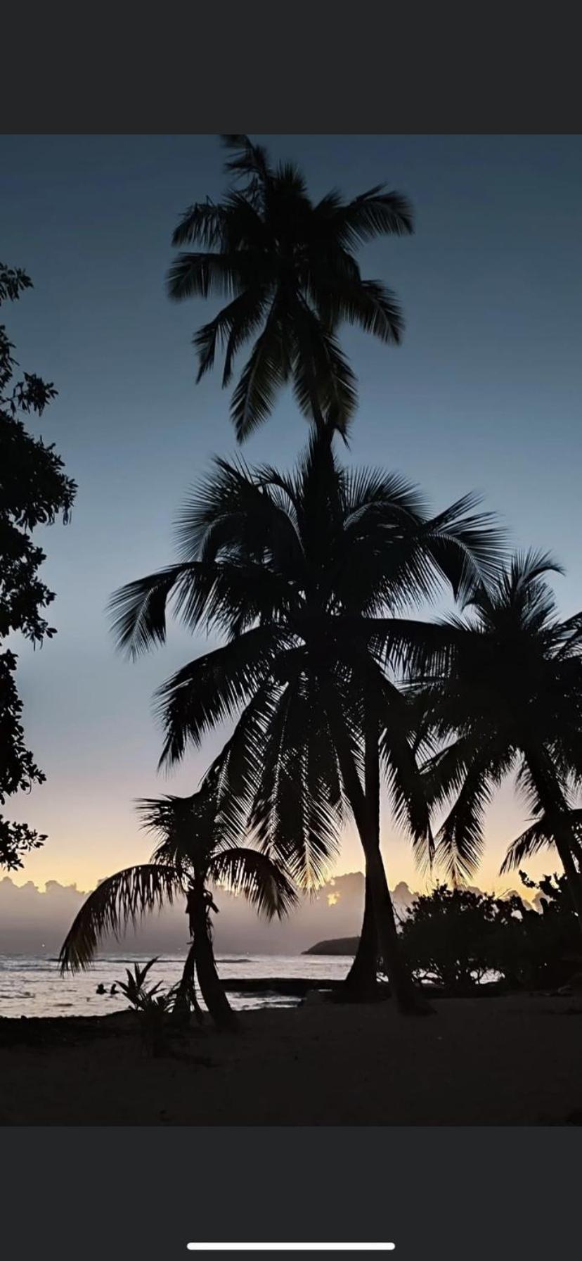 Au Petit Noni Lägenhet Le Gosier  Exteriör bild